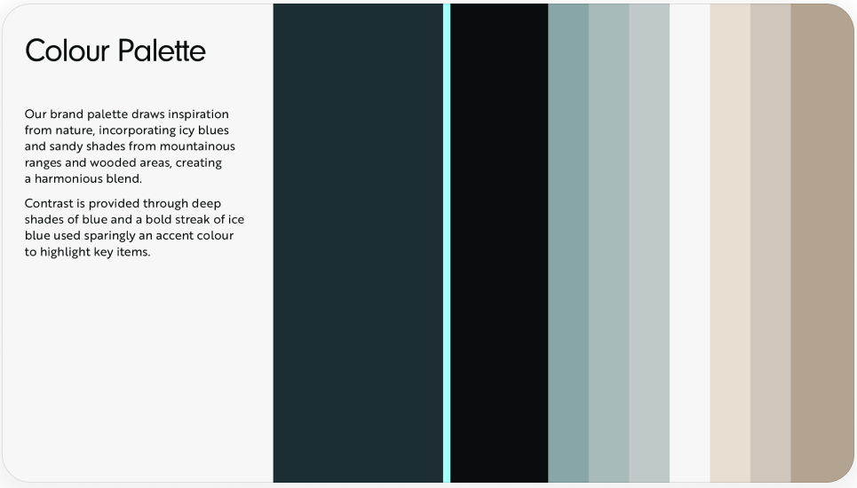 BGI brand guidelines card
