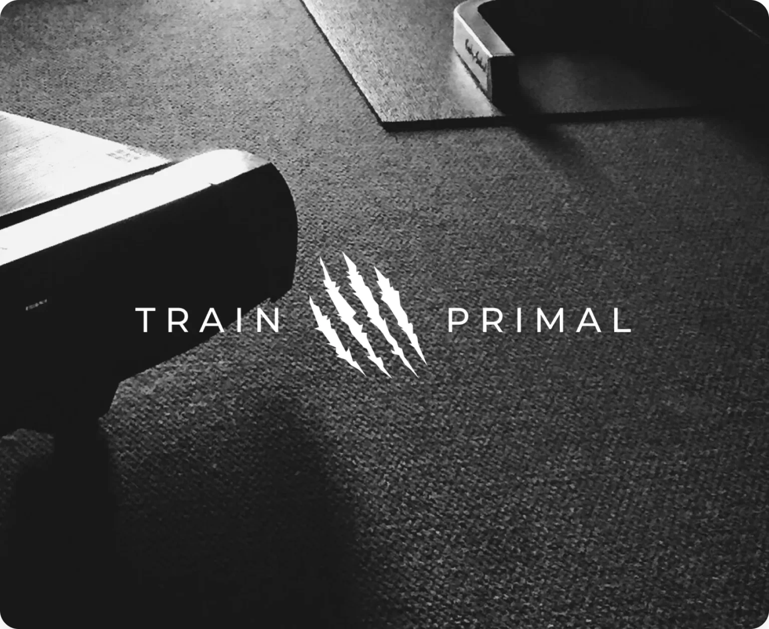 Train Primal